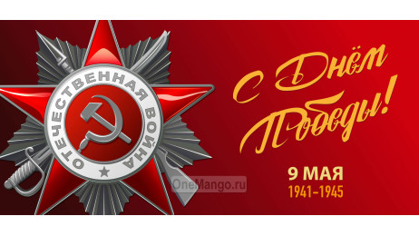 Занавес день победы 110