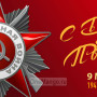 Занавес день победы 110