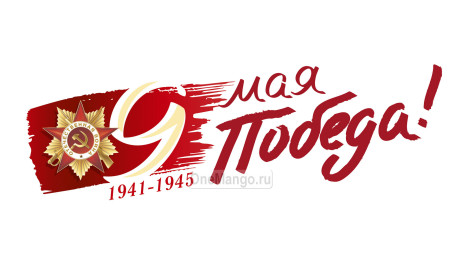 Занавес день победы 113