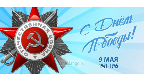 Занавес день победы 115