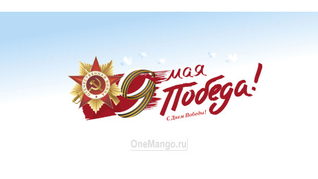 Занавес день победы 120