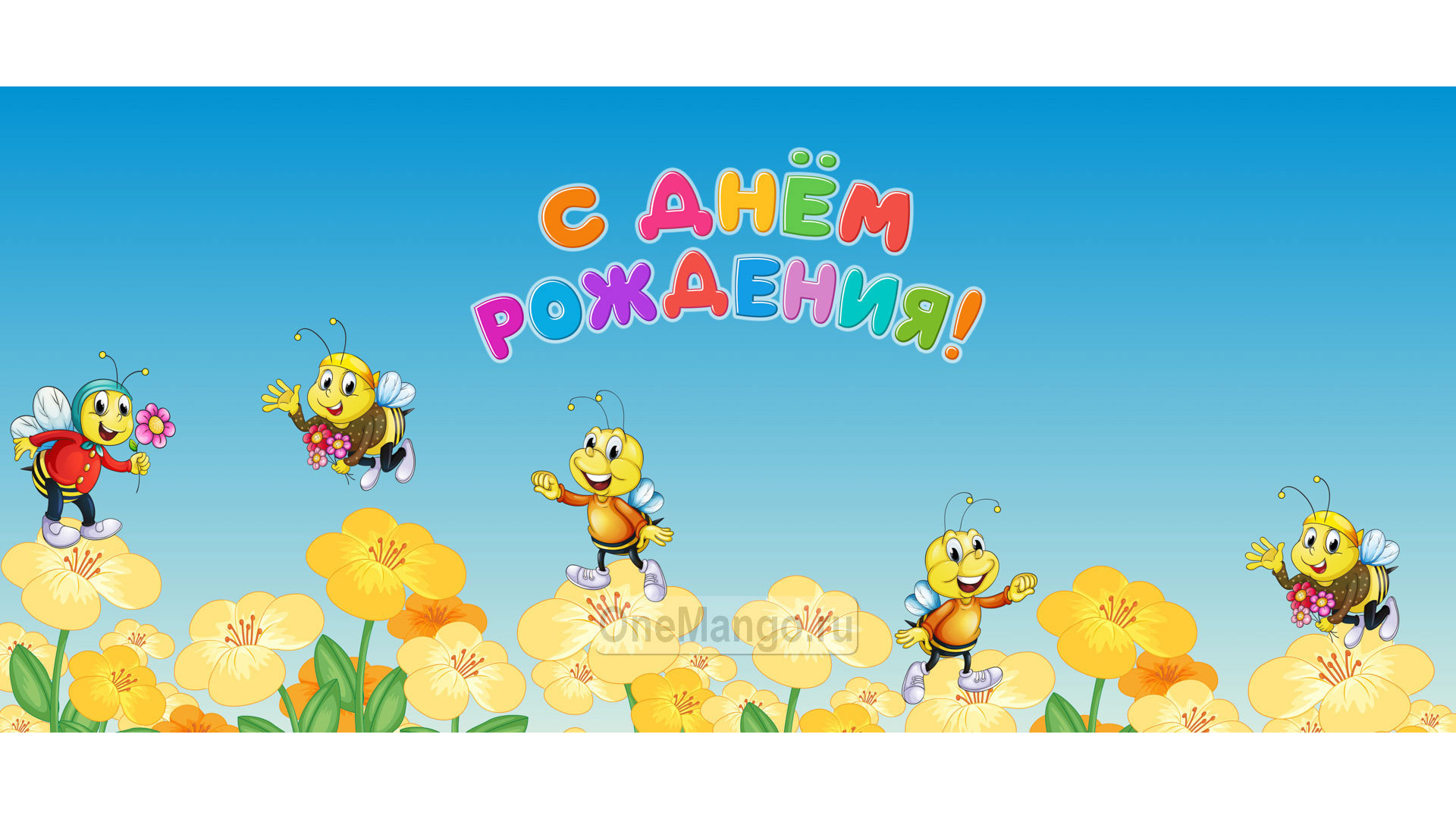 Занавес день рождения 004