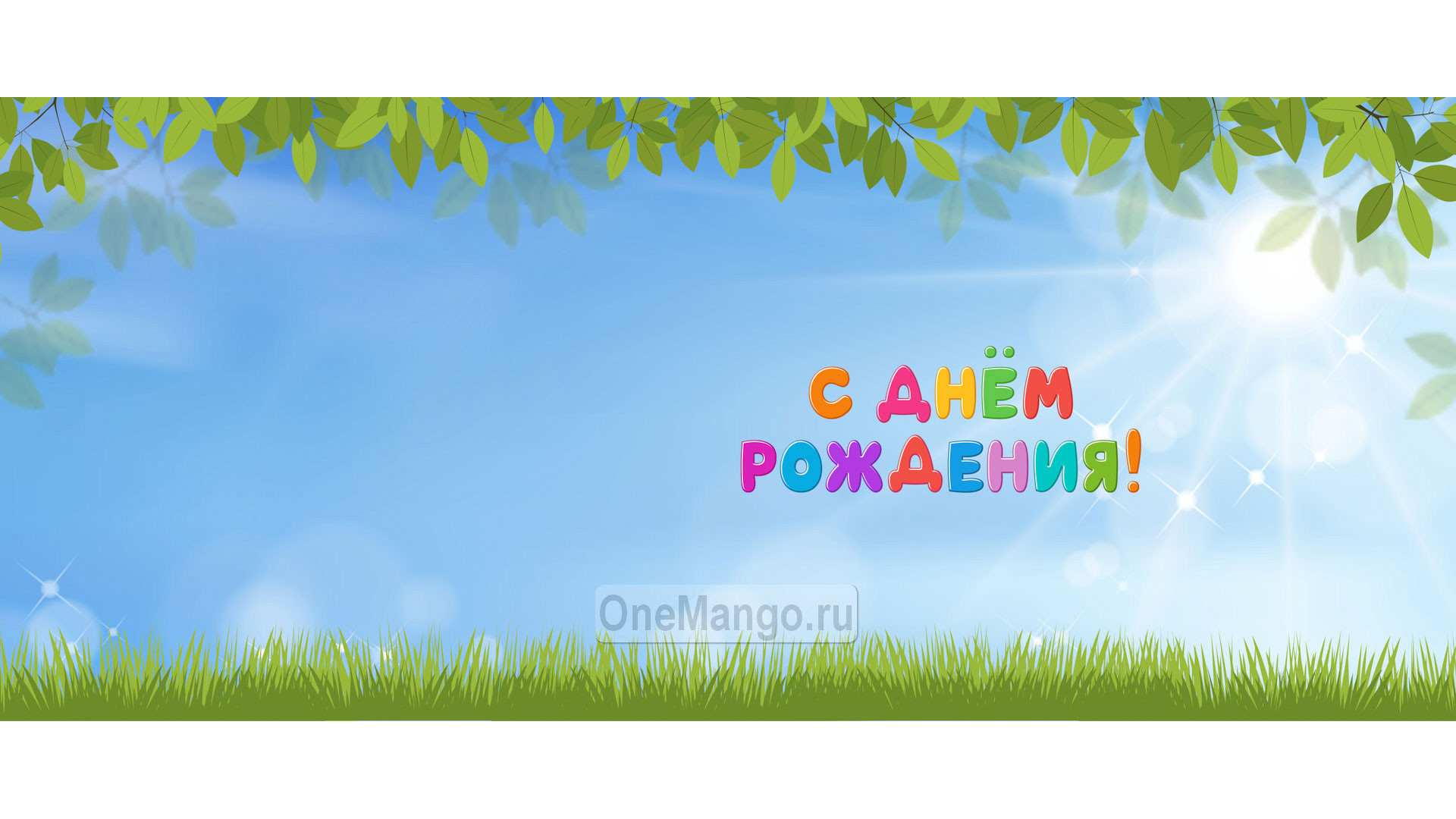 Занавес день рождения 026