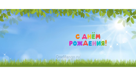 Занавес день рождения 026