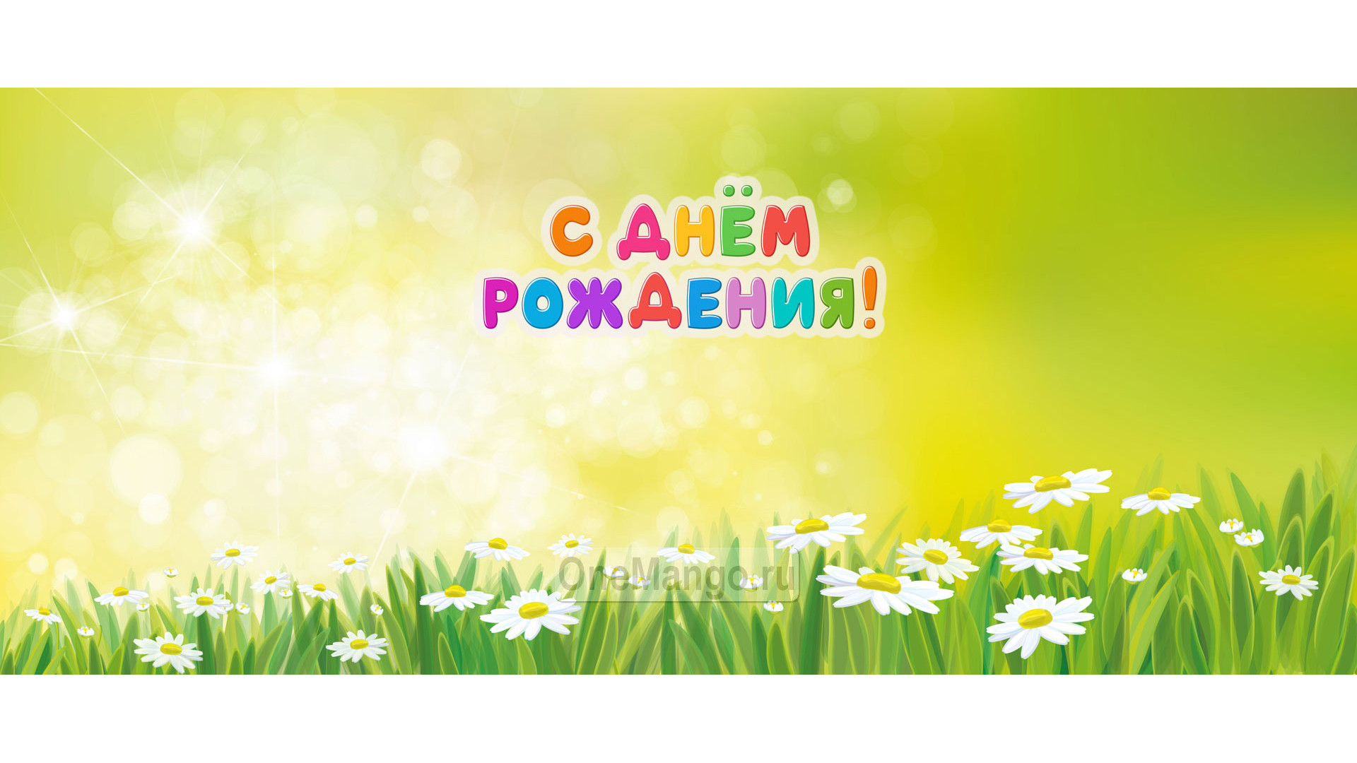 Занавес день рождения 044