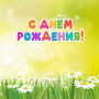 Занавес день рождения 044