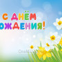Занавес день рождения 053