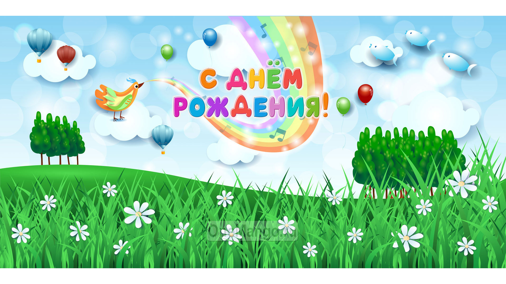 Занавес день рождения 059