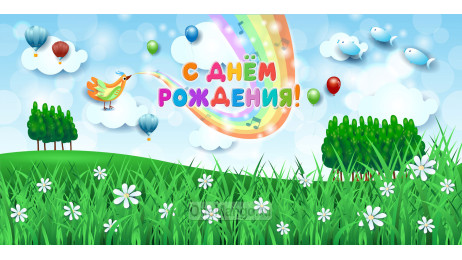 Занавес день рождения 059