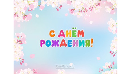 Занавес день рождения 068
