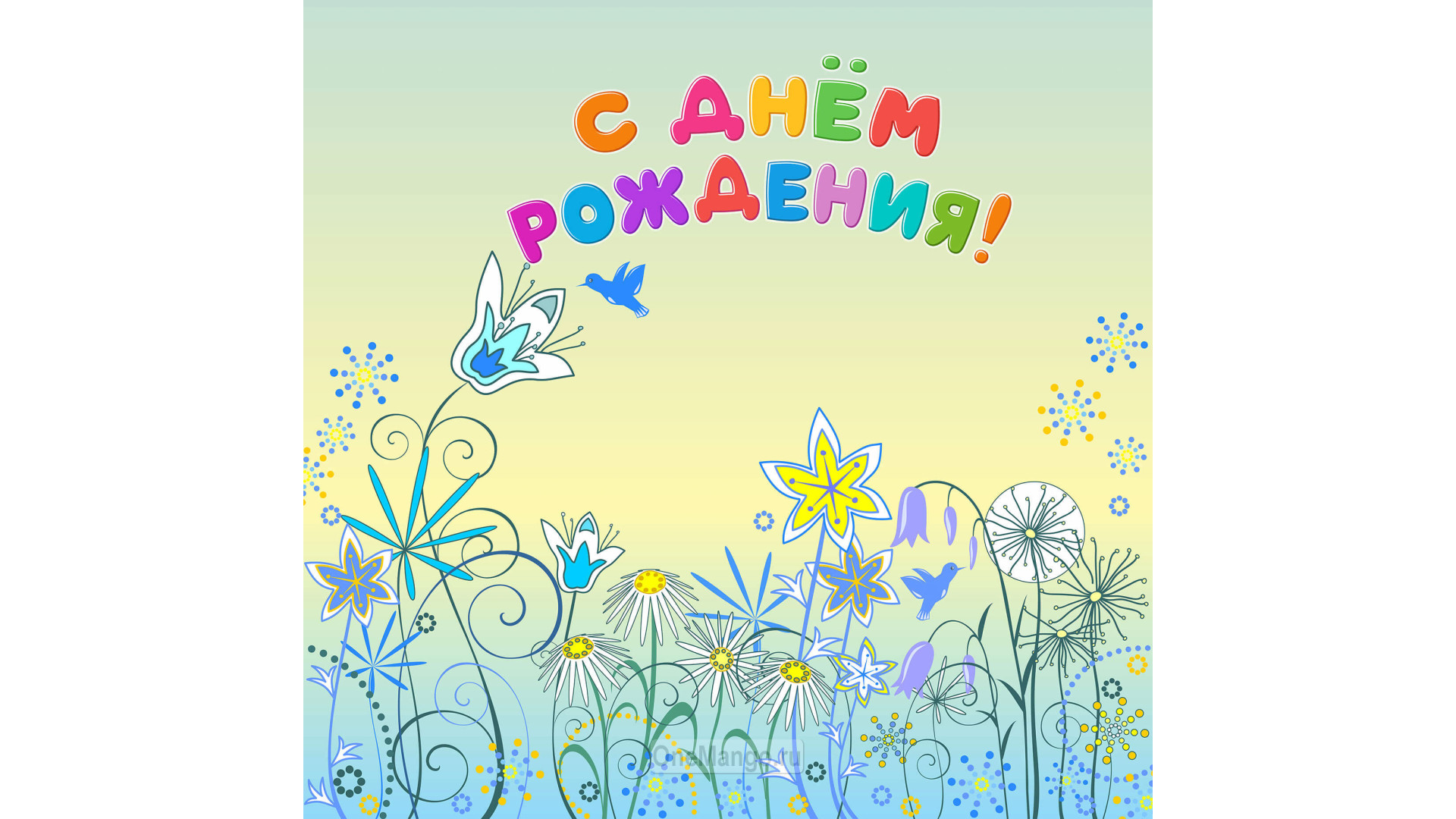 Занавес день рождения 075