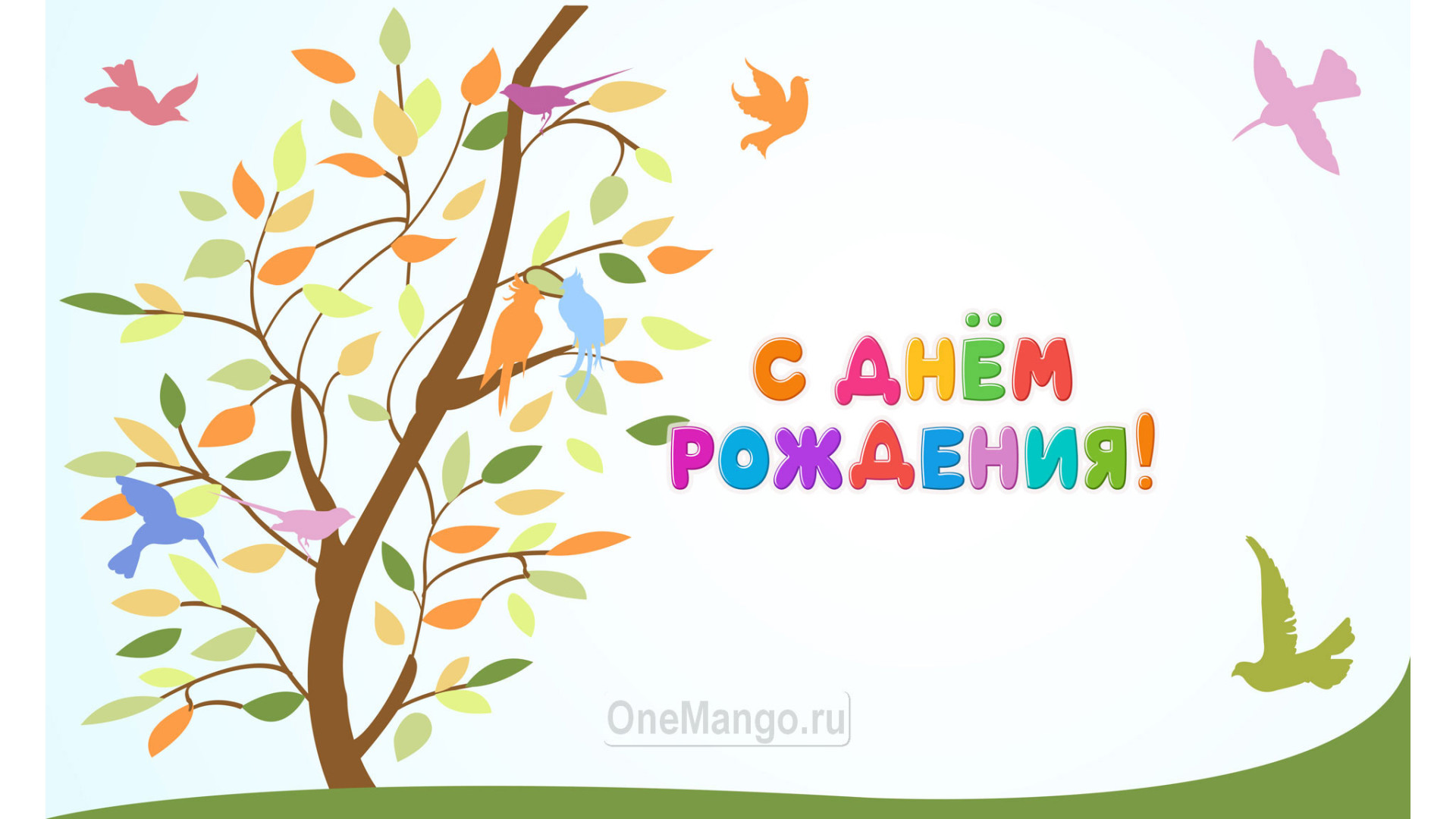 Занавес день рождения 085