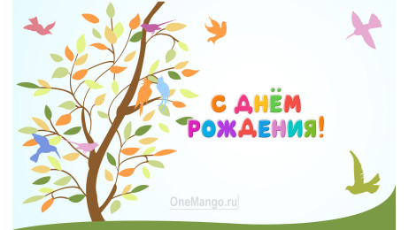 Занавес день рождения 085