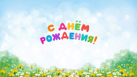 Занавес день рождения 087