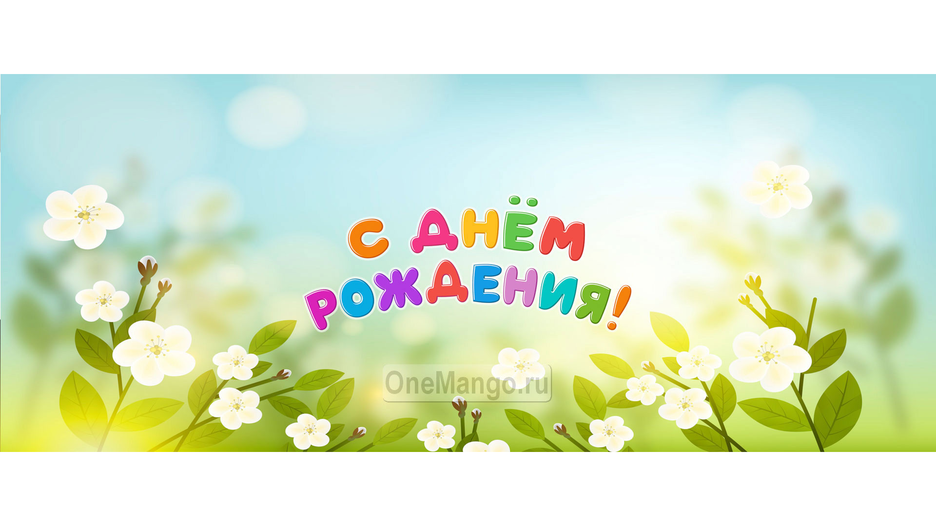 Занавес день рождения 105