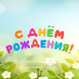 Занавес день рождения 105