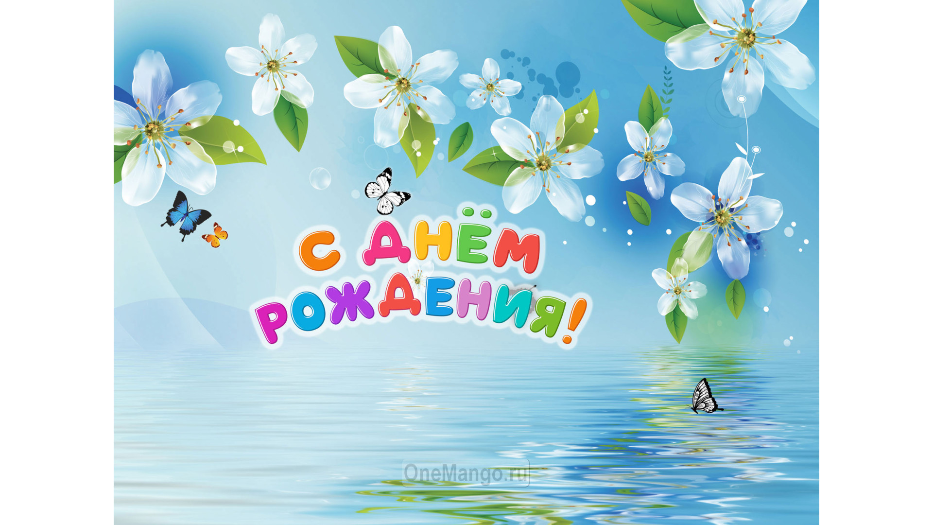 Занавес день рождения 114