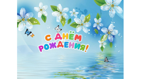 Занавес день рождения 114