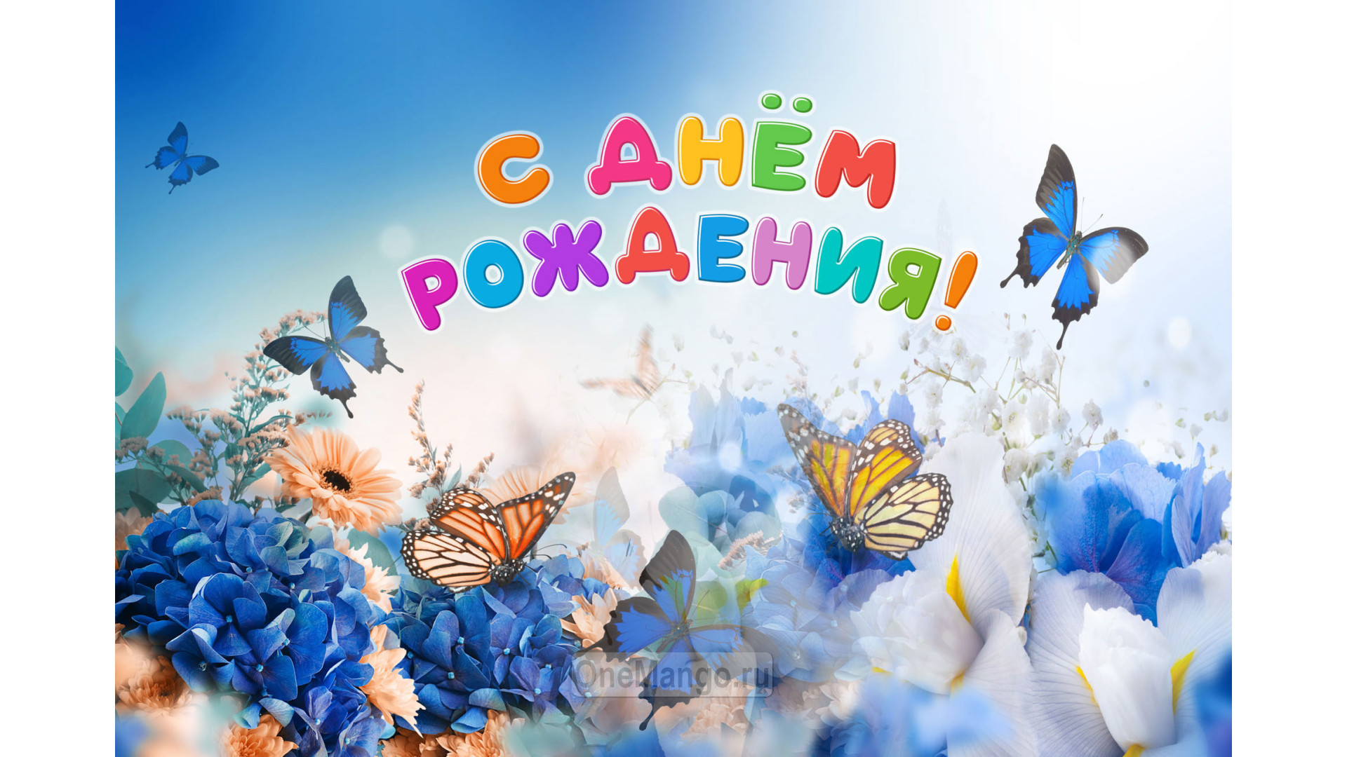 Занавес день рождения 117