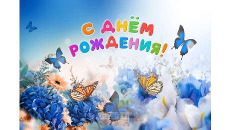 Занавес день рождения 117