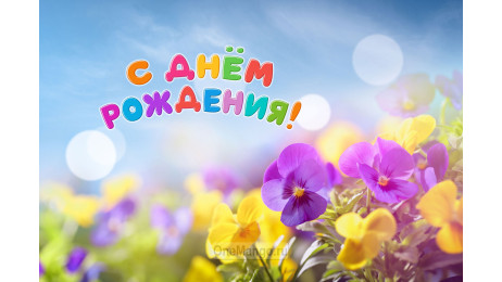 Занавес день рождения 120