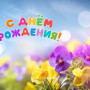 Занавес день рождения 120