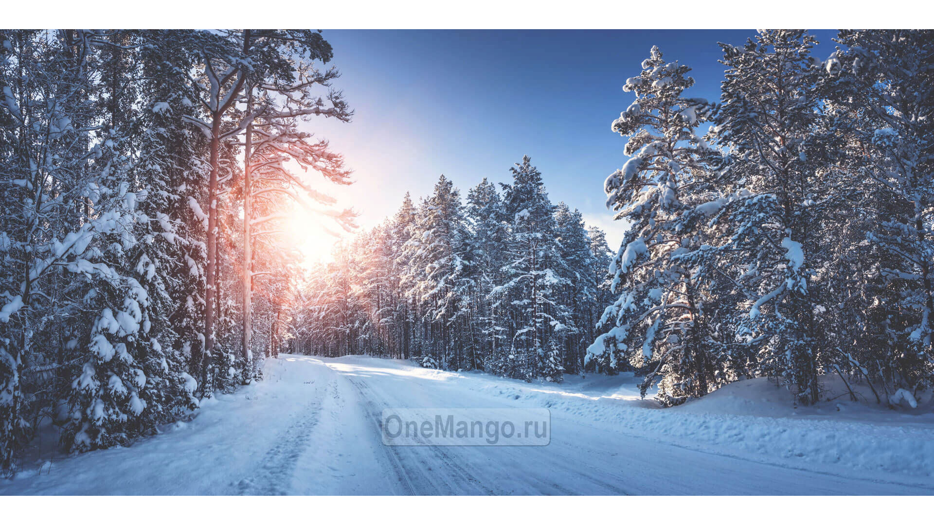 Новогодний занавес 012