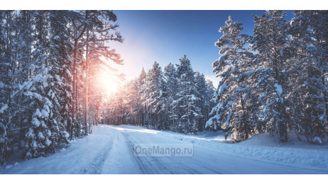 Новогодний занавес 012