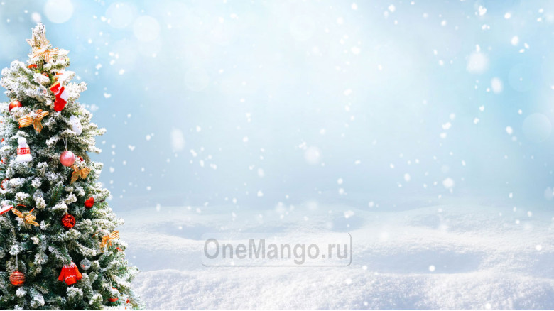 Новогодний занавес 016