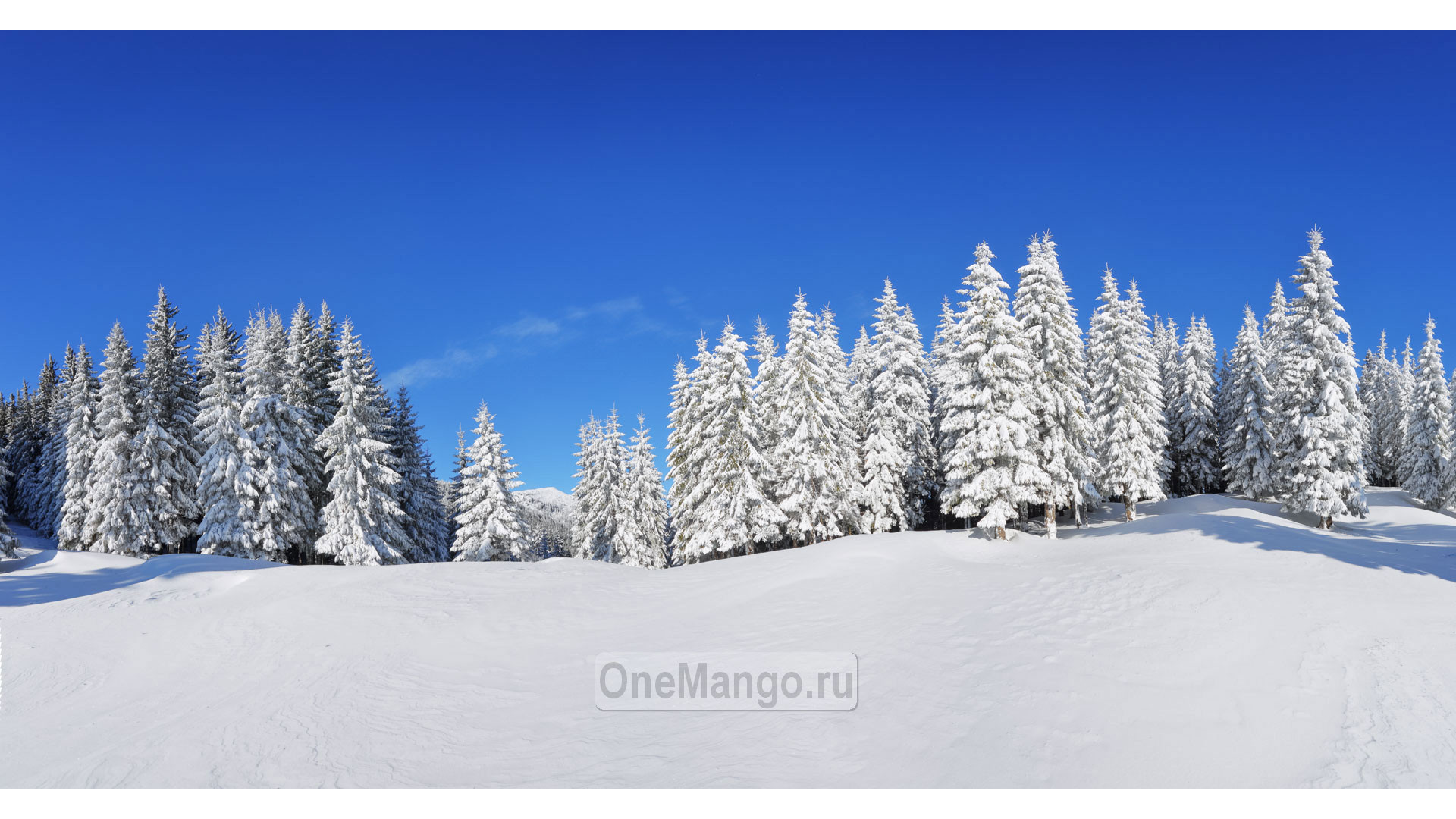 Новогодний занавес 025
