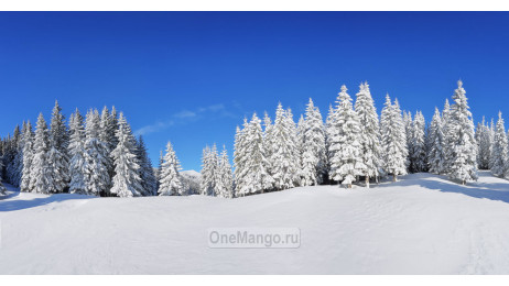 Новогодний занавес 025