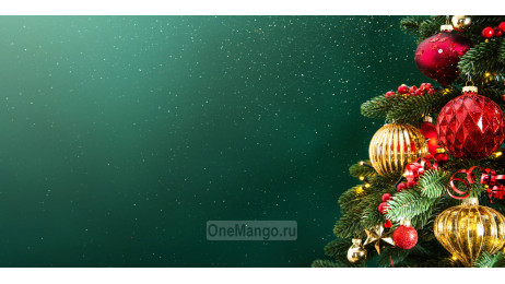 Новогодний занавес 030