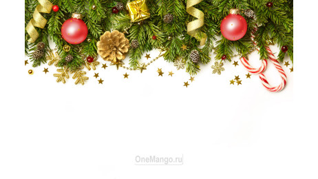 Новогодний занавес 049