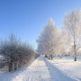 Новогодний занавес 055