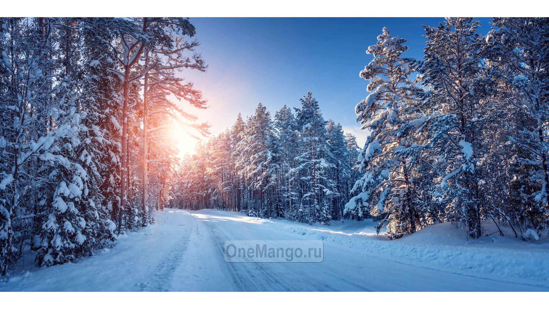 Новогодний занавес 069