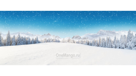 Новогодний занавес 071