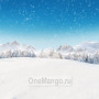 Новогодний занавес 071