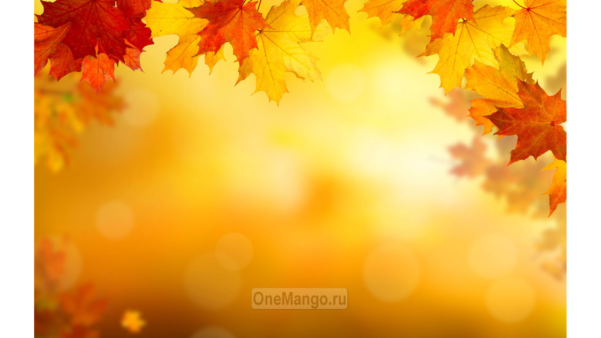 Осенний занавес 001
