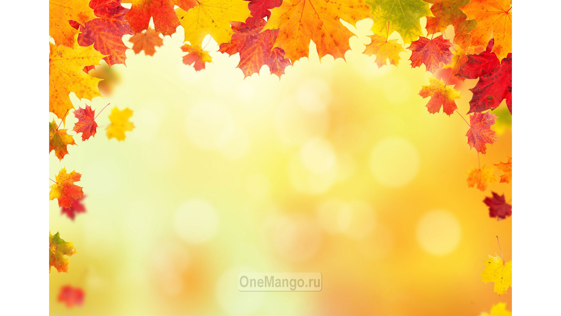 Осенний занавес 036