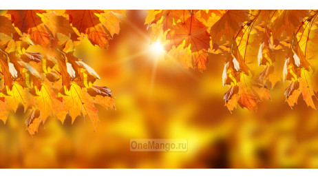 Осенний занавес 046