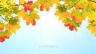 Осенний занавес 064