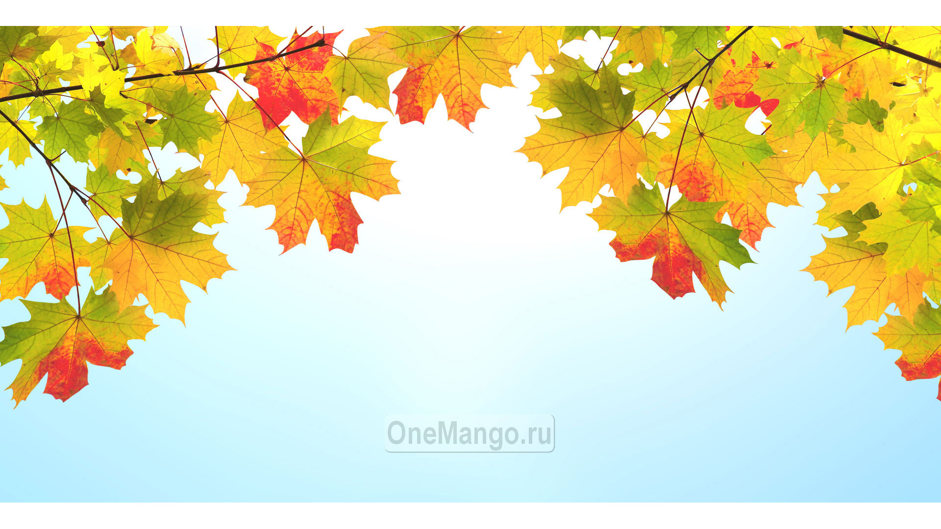 Осенний занавес 064
