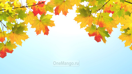 Осенний занавес 064