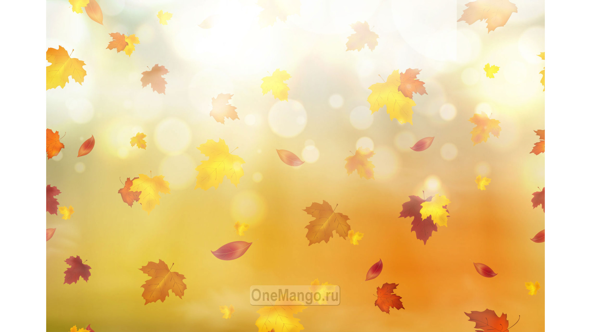 Осенний занавес 075