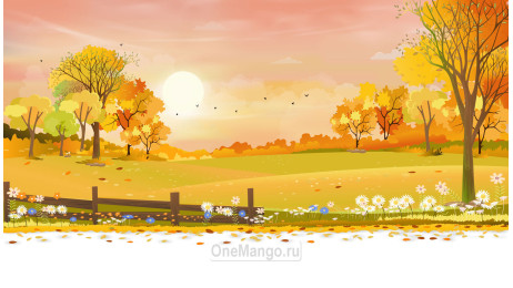 Осенний занавес 106