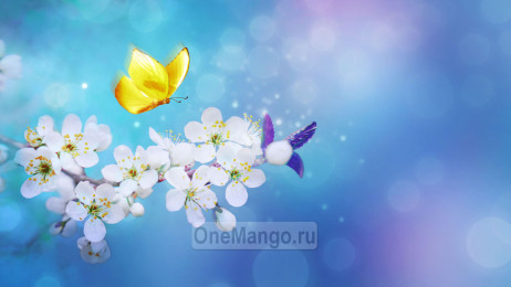 Занавес Весна-Лето 038