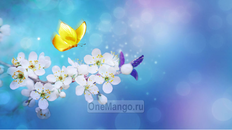 Занавес Весна-Лето 038