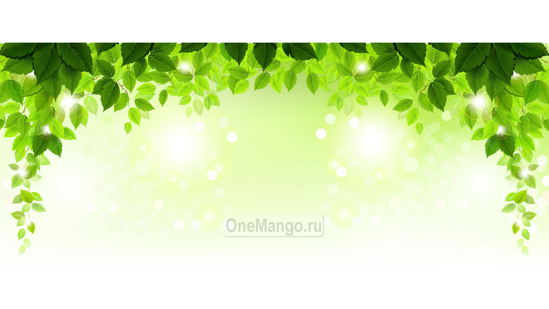 Занавес выпускной в школе 001