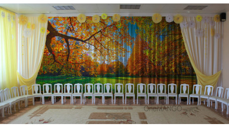 Осенний занавес 029